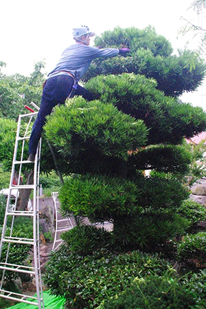 かもしか園　作業風景写真