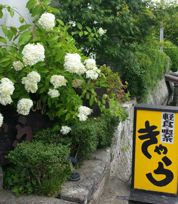 和カフェ　きゃら　看板写真