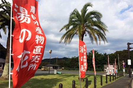 南伊豆町農林水産物直売所湯の花　外観写真