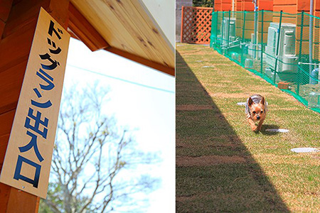 ログハウス愛犬かしま　看板とドッグラン写真